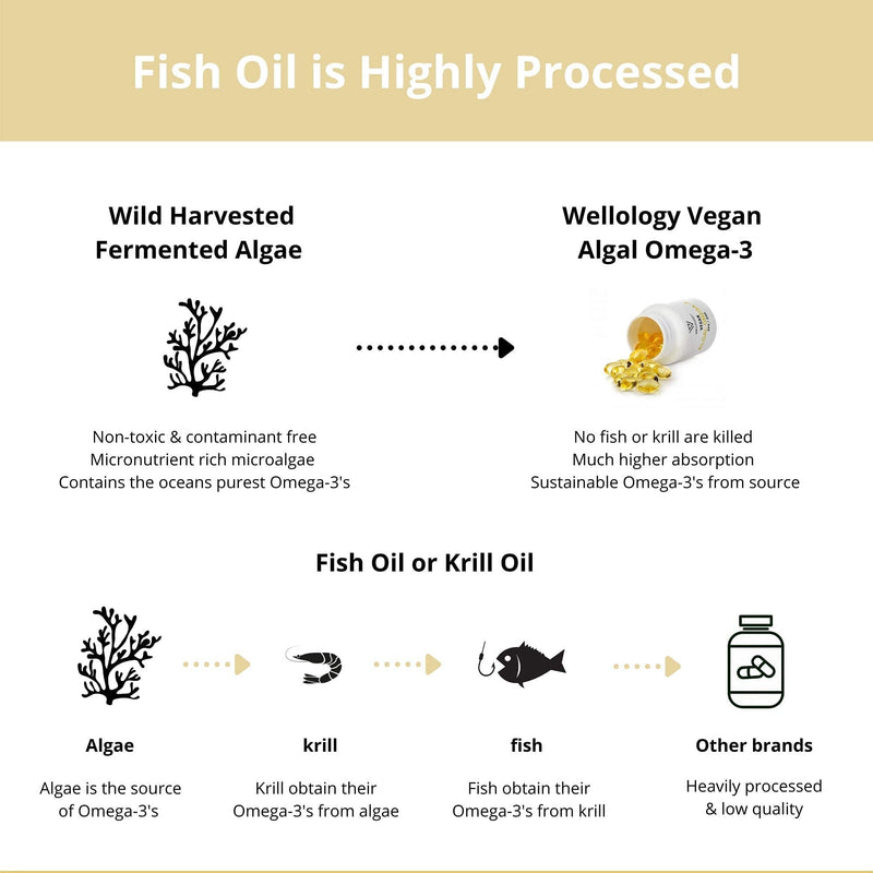 Vegan Omega 3-1200mg Fermented Algae Oil - High Strength EPA DHA - Natures Purest Omega Fatty Acids - Contaminant-Free Alternative to Fish Oil, Cod Liver Oil or Krill Oil - 60 Softgels by Wellology - BeesActive Australia