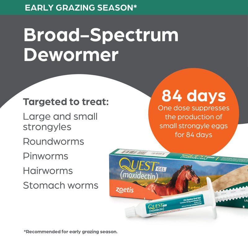 Zoetis Quest Gel 14.4gm - BeesActive Australia