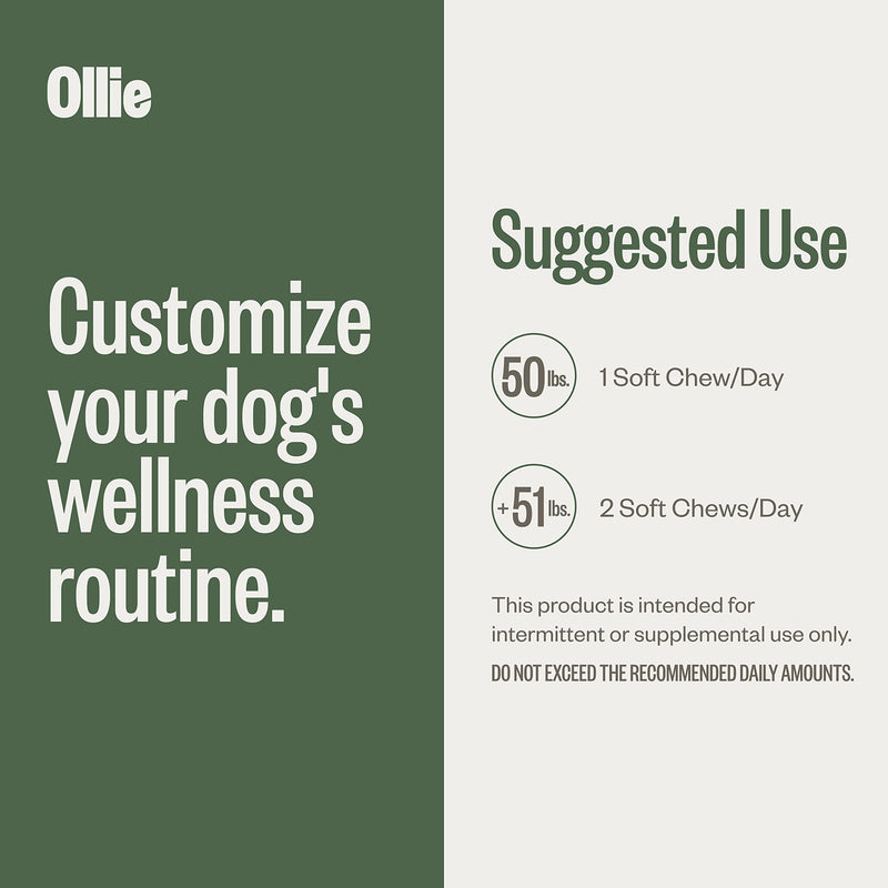 Ollie Dog Supplements Probiotic - BeesActive Australia