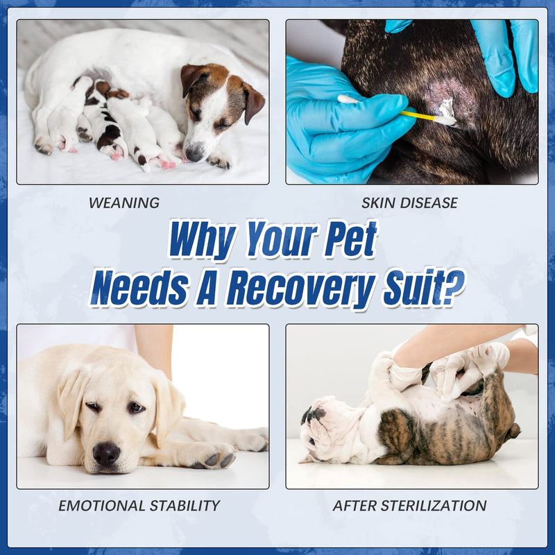 Kuoser Dog Recovery Suit After Surgery, Tie Dye Pet Recovery Shirt Doggy Cats Bodysuits for Abdominal Wounds, Soft & Breathable Anti Licking Dogs Onesie, Cone E-Collar Alternative for Skin Damage Medium (Back: 13.4" - 16.1"; Weight: 14 - 25LB) Blue - BeesActive Australia