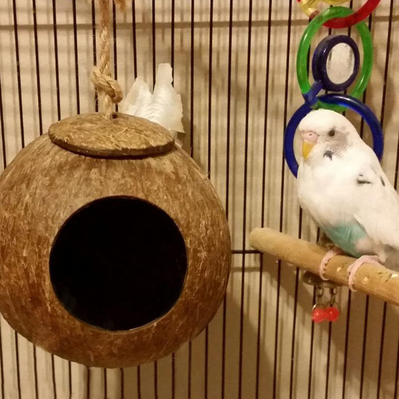 kathson Natural Coconut Shell Bird Nest,Hanging Coco Birds House,Parrots Hide Hut Habitats Decor,Parrot Cage Accessories for Lovebirds Cockatiel Canary Budgies,Feeder Spoon,4 Toy Balls(6 Pcs) - BeesActive Australia