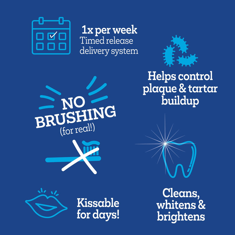 Vetality Brush Free Oral Gel for Dogs | Vet Formulated Dental Care with ProLong Technology | Cleans Teeth and Gums - BeesActive Australia