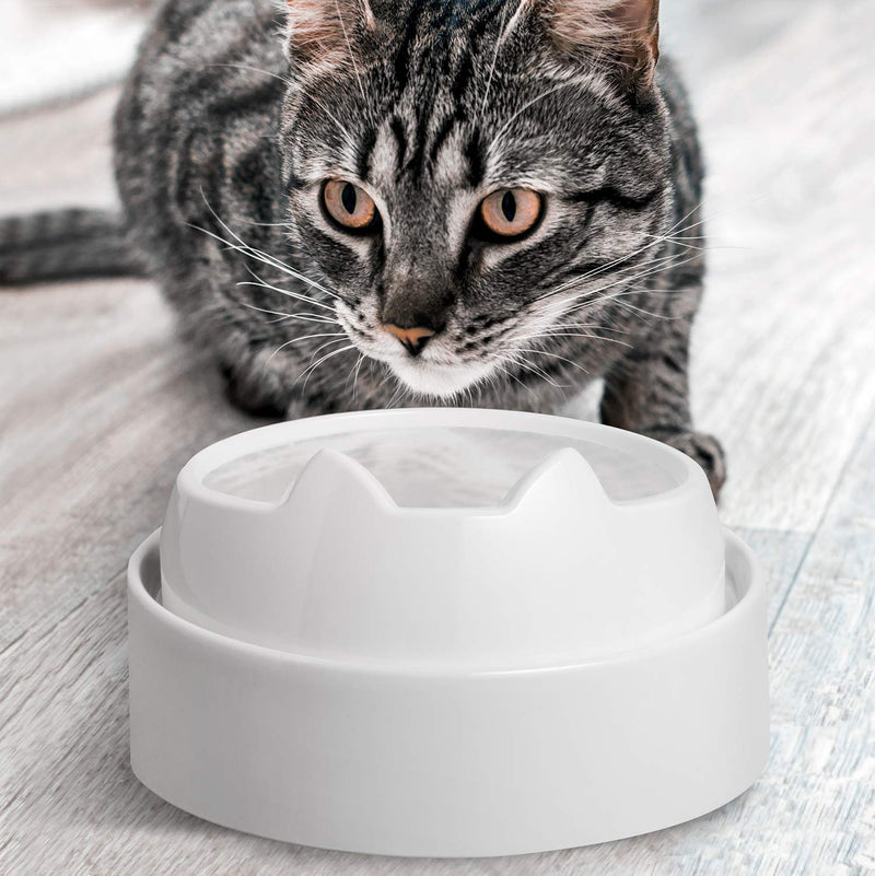 CatGuru Cat Water Bowl Marshmallow - BeesActive Australia