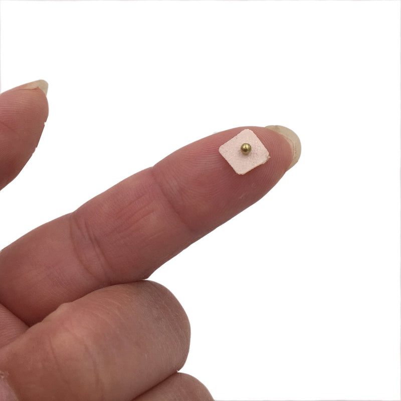Dragon Acupuncture Magnetic Acupressure Ear Beads Pellets Seeds 300 Counts Refill Pack 300 Magnetic Refill - BeesActive Australia