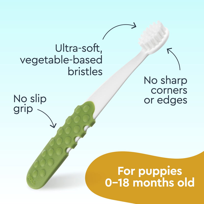 RADIUS Puppy Kit Dog Toothbrush USDA Organic Dental Solutions 0.8oz Toothpaste Ultra Soft Bristle for Dogs Designed to Clean Teeth - Pack of 1 1 Count (Pack of 1) - BeesActive Australia