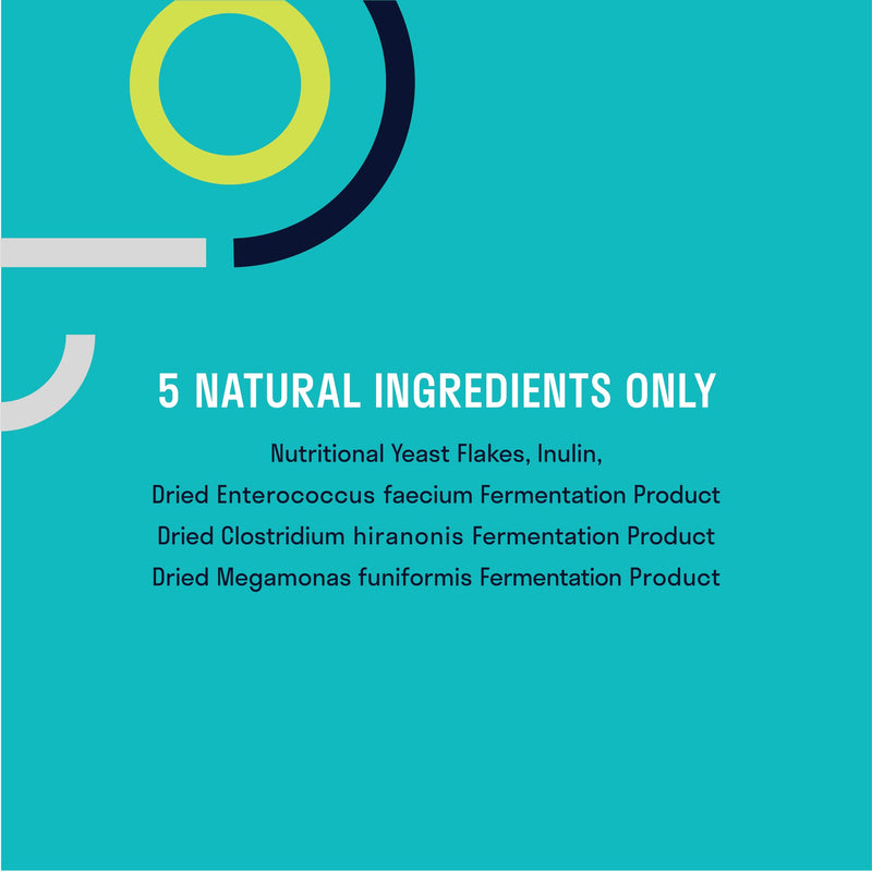 ARKUS Daily Dog Probiotic, The Only Product Made with Microbes That are Natural to The Gut of Healthy Dogs, Supports Better Digestion, Gut Health, and Immune System, Maintains a Healthy Microbiome - BeesActive Australia