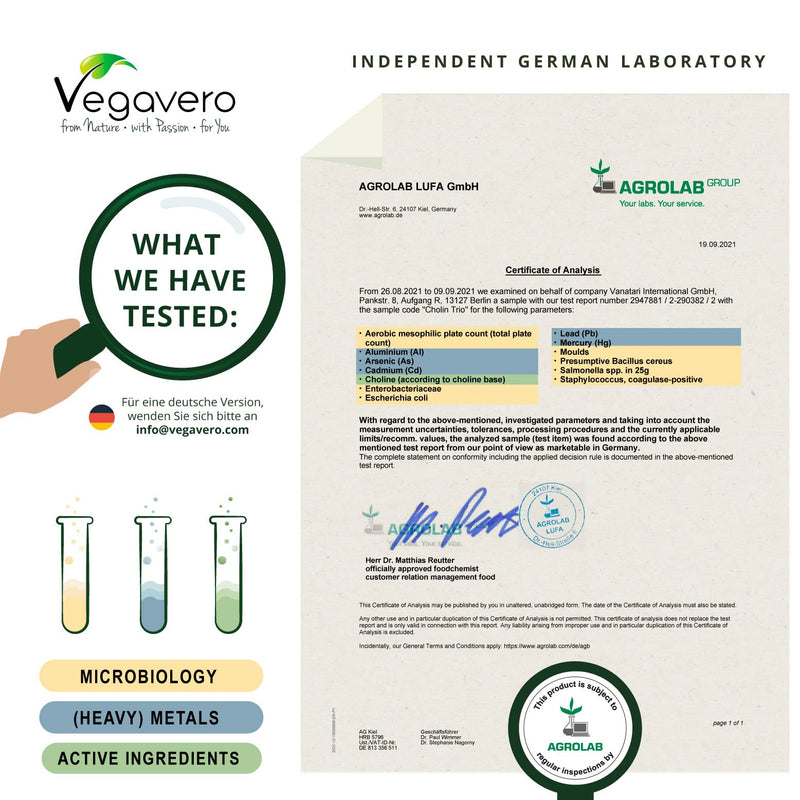 Choline Complex Vegavero� | 3 Forms: Bitartrate, CDP & Phosphatidyl | NO Additives | 90 Vegan Capsules - BeesActive Australia