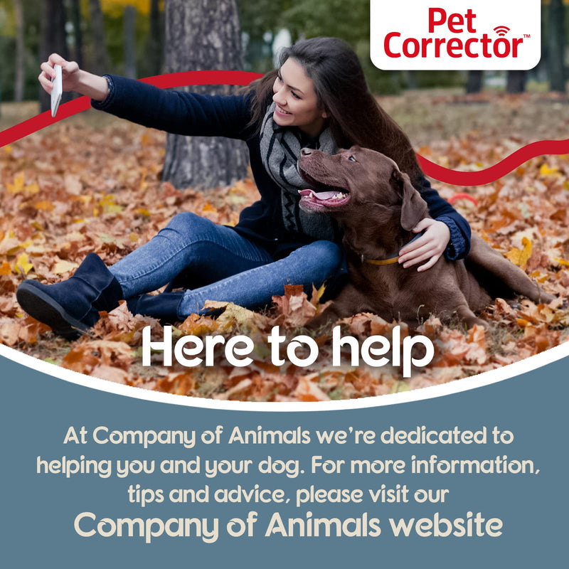 Pet Corrector Spray for Dogs 200ml- Dog Training and Correction Spray to Stop Barking, Prevent Unwanted Behaviors and Obedience Issues, Non Shock, Humane, Safe, Effective Deterrent One Pack - BeesActive Australia