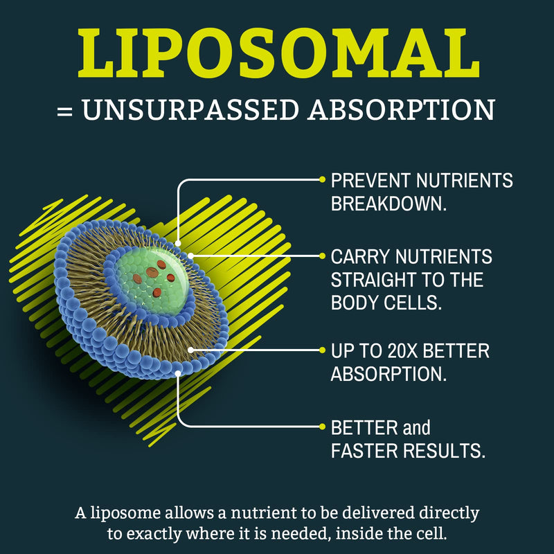 Solavica Liposomal Ubiquinol Vegan CoQ10 1000 mg, High Bioavailability (The Active m of CoQ10), Powerful Antioxidant Heart Health, Beneficial to Statin Users, Non-GMO, 60 Softgels (1PACK) 1PACK - BeesActive Australia