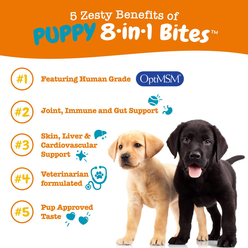 Zesty Paws Puppy 8-in-1 Multivitamin Soft Chews + Puppy Allergy & Immune Soft Chews - BeesActive Australia