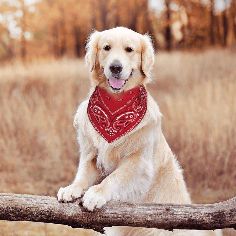 Dog Bandana Scarf Triangle Bibs Pet Accessories Cat Kerchief Black Border Red Colorful Paisley - BeesActive Australia
