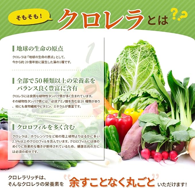 Wakando Chlorella Rich Chlorella Supplement Additive-free 100% Tablet Algae Active Kyushu Fukuoka Chikugo 200mg 150 tablets - BeesActive Australia