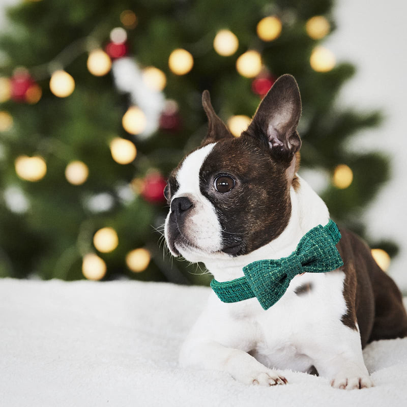 Lionheart glory Dog Bow Collar Dog Collar with Bows Adjustable Soft Dog Collars with Bowtie, Pet Collars Bow Tie for X-Small Small Medium Large Dogs Gift X-Small (Pack of 1） green - BeesActive Australia
