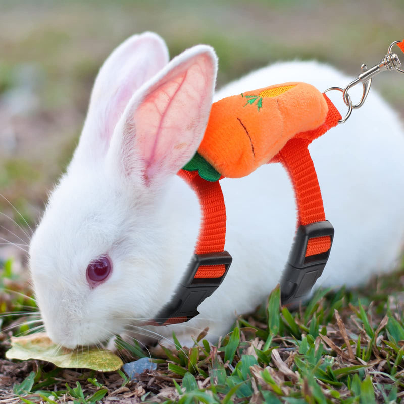 4 Sets Adjustable Bunny Rabbit Harness and Leash Set Small Pet Cute Vest Harness Leash Ferret Harness Guinea Pig Harness Ferret Leash with Decorations for Bunny Kitten Puppy, Small Pets Fruit - BeesActive Australia