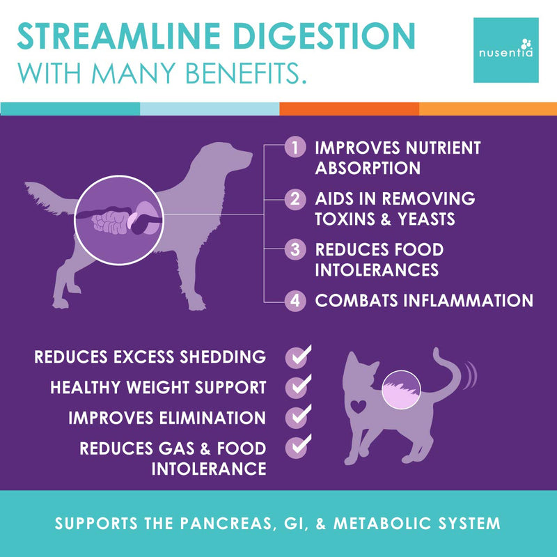 Enzymes for Cats & Dogs : Enzyme Miracle® (100 Servings) : for Digestive Stress, Pancreatic Concerns, and Healthy Weight Management. - BeesActive Australia