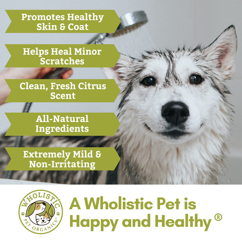 Wholistic Pet Organics Pet Shampoo Concentrate: Heavenly Herbal Organic Dog Shampoo and Conditioner - All Natural Puppy and Cat Shampoo for Dry, Itchy Skin, Allergies, Dandruff - Flea Shampoo - 8 Oz - BeesActive Australia