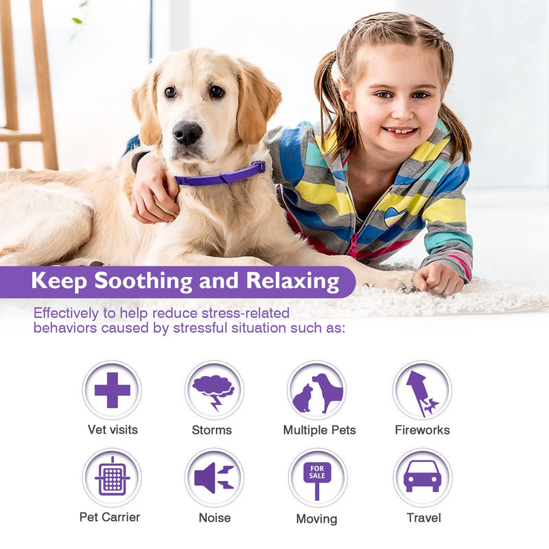 Dogs Calming Pheromones Collar 3 Packs Lasts 60 Days Relieve Reduce Anxiety or Stress 25 Inches Adjustable Relaxing Comfortable Collar Breakaway Design for All Small Medium and Large Dog Purple - BeesActive Australia