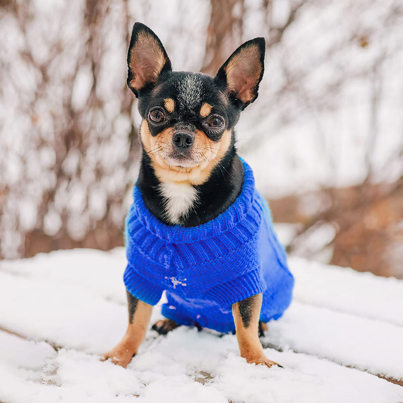 Set of 2 Dog Sweater for Small Dogs, Winter Warm Turtleneck Knitted Chihuahua Sweater, Girl Dog Clothes, Red Cute Pet Knitwear Sweaters Soft Puppy Cold Weather Outfits Doggie Cat Clothing XX-Small Blue+Red - BeesActive Australia