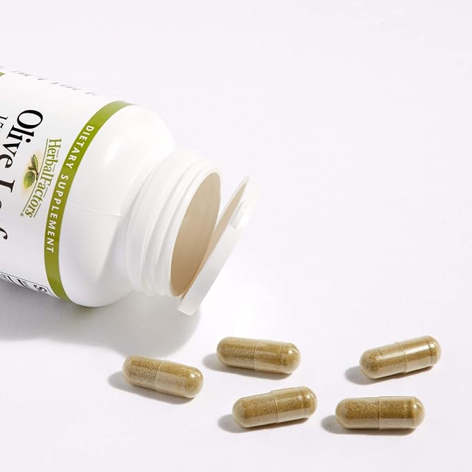 Natural Factors Olive Leaf Extract, 60 Caps 500 mg - BeesActive Australia