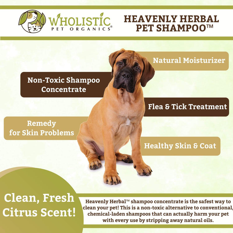 Wholistic Pet Organics Pet Shampoo Concentrate: Heavenly Herbal Organic Dog Shampoo and Conditioner - All Natural Puppy and Cat Shampoo for Dry, Itchy Skin, Allergies, Dandruff - Flea Shampoo - 16 Oz - BeesActive Australia