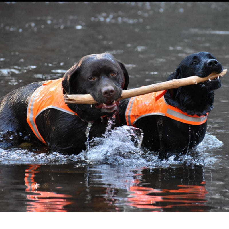 SafetyPUP XD Lite Dog Vest. Coverage to Mid Back. Reflective Hi Visibility Blaze Orange Fluorescent Fabric Helps to Keep Them in Sight and Safe On and Off Leash. Large - BeesActive Australia
