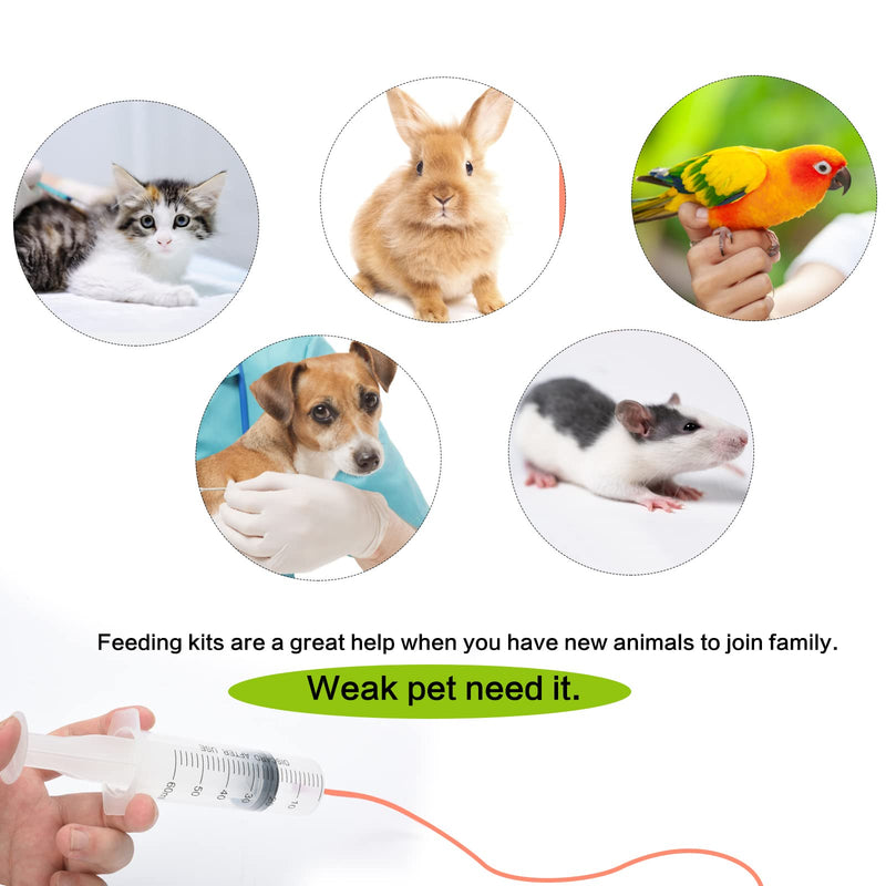 MOTAIN Pet Feeding Supplies Kit-3 Pack Red Rubber Feeding Tube(8Fr, 10Fr, 14Fr) with 3 Pack 10/30/60 Ml Syringes for Lamb,Goat,Sheep,Puppy,Kitten Whelping Feeding Watering - BeesActive Australia
