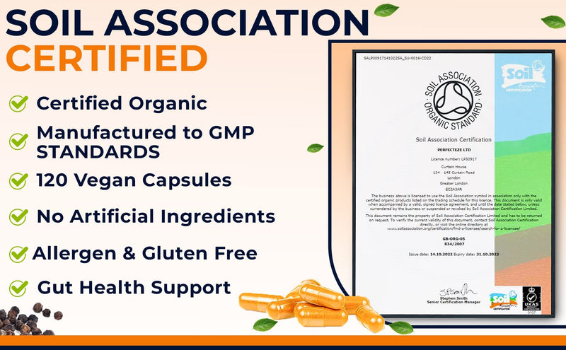 Organic Turmeric Curcumin High Strength and Black Pepper with Ginger 120 Veg Capsules 2130MG Advanced Turmeric with Active Ingredient Curcumin Organic Vegan 120 Capsules (3 Month Supply) - BeesActive Australia