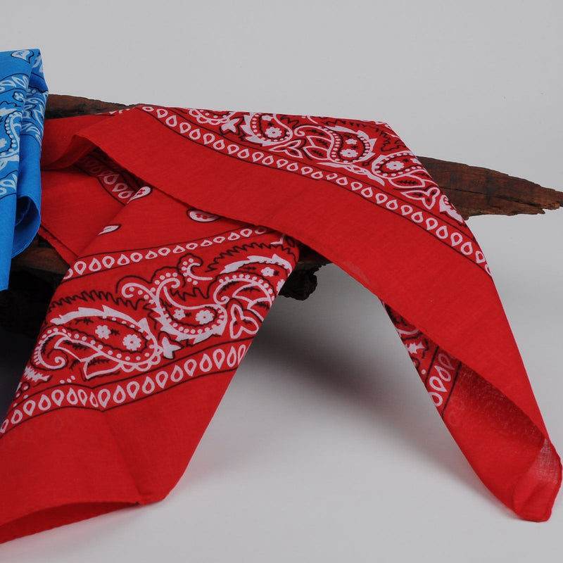 BSLINO Bandanas 24pcs 22 X 22 Inch 100% Cotton Bandana Novelty Double Sided Print Paisley Cowboy Bandana Party Favor Scarf Headband Handkerchiefs Two Dozen - BeesActive Australia