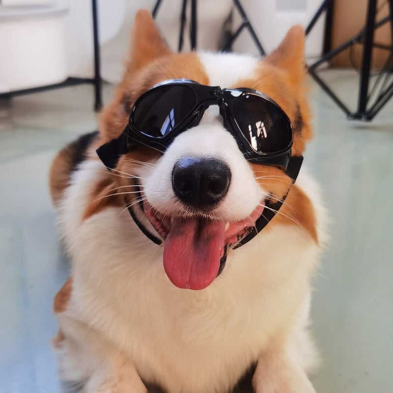 Small Dog Goggles Sun' UV Protection Puppy Goggles Windproof Small Pet Sunglasses for Eyes Protection Black - BeesActive Australia