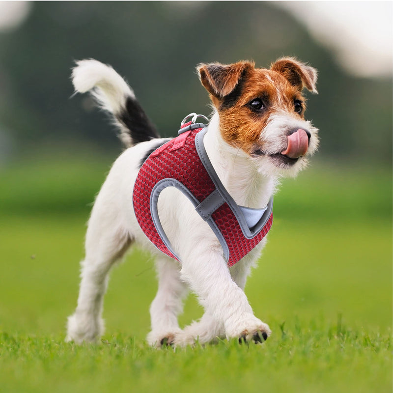 Kruz PET KZA308 Reflective V-Neck Step In Mesh Dog Harness - No Pull, Quick Fit, Comfortable, Velcro-Adjustable Pet Harnesses for Walking & Training - Small, Medium Dogs Gray - BeesActive Australia