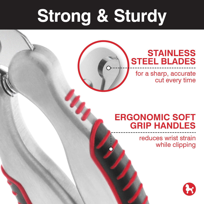 CHI For Dogs Nail Clipper for Dogs and Puppies - Safe and Effective Way to Clip Dog Nails - Best Dog Nail Clippers, Dog Clippers Pet Grooming Tools for All Dogs, Dog Grooming Supplies Large Dogs - BeesActive Australia