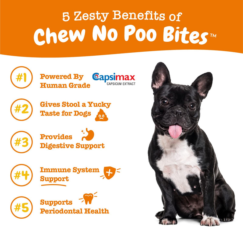 Zesty Paws Chew No Poo Bites - Coprophagia Stool Eating Deterrent for Dogs Deter Stop Dog from Eating Feces Probiotic Digestive Enzymes Breath Freshener 90 Count (Pack of 1) - BeesActive Australia