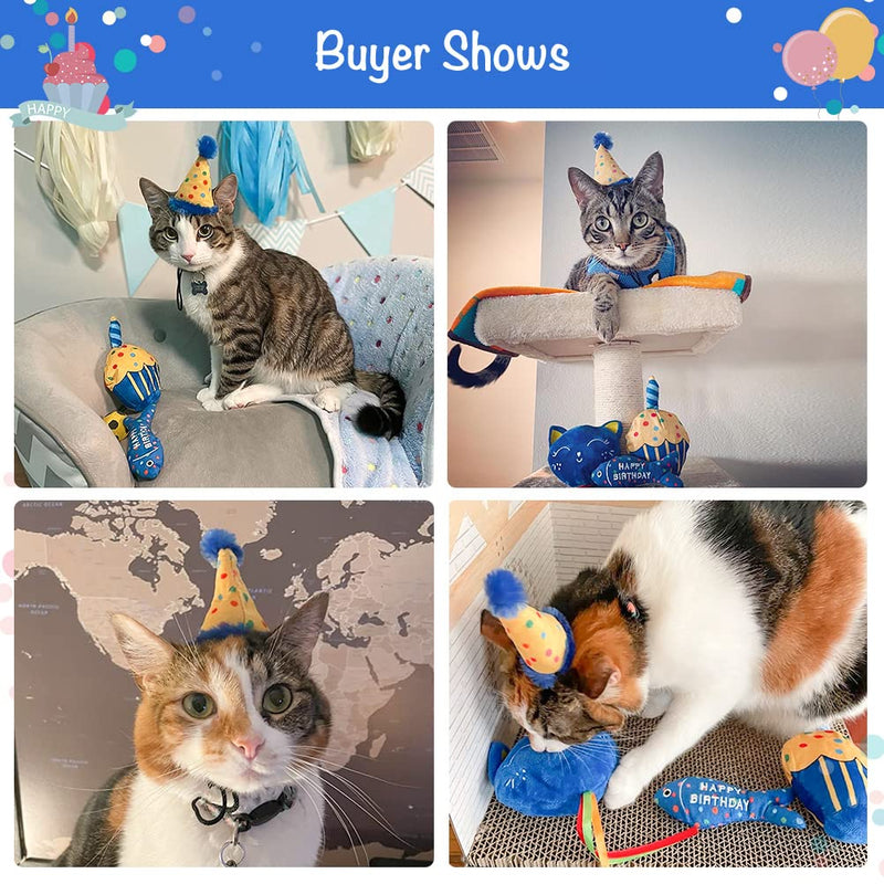 BINGPET Catnip Toys for Indoor Cats, Cat Birthday Hat and Interactive Plush Kitten Chew Toys - Cute Cake, Fish, Balloon Toys with Crinkle Paper and Catnip Inside Birthday Hat+Catnip Toys - BeesActive Australia
