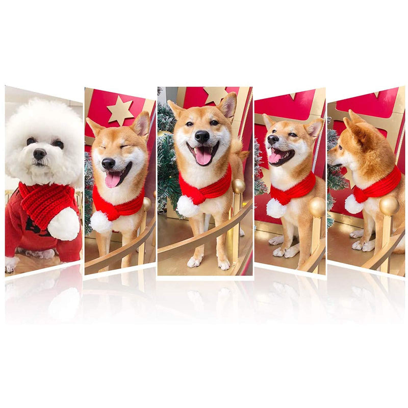Inscape Data Christmas Dog Santa Hat with Scarf, Adjustable Santa Hat for Dog and Xmas Pet Knit Red Scarf with White Pompom Ball, Dog Winter Neck Warmer Scarf, Christmas Party Dressup L - BeesActive Australia