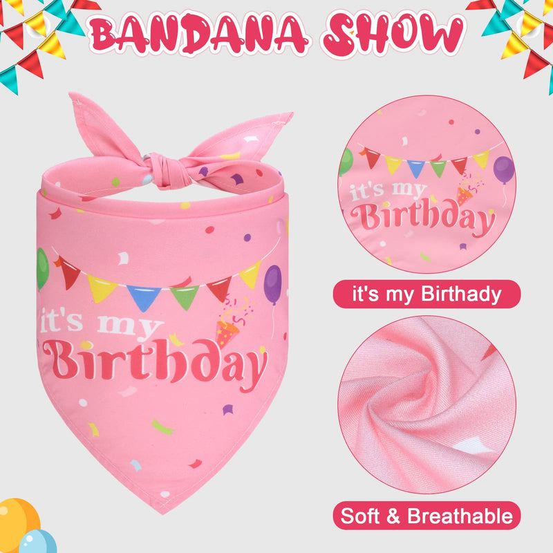 EXPAWLORER Dog Birthday Party Supplies - Cute Dog Birthday Hat, Birthday Bandana Scarf, Festive Birthday Cake Dog Squeaky Chew Toy, Dog Themed Birthday Party Supplies Gift Pink - BeesActive Australia