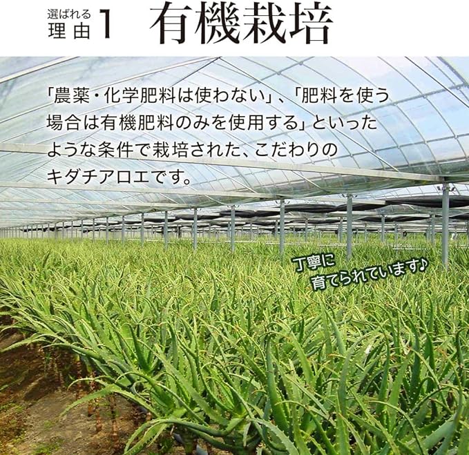 Yuuki Pharmaceutical Organic Kidachialoe Grains 100% 24-30 Day Supply 120 Tablets Supplements Made in Kochi Prefecture - BeesActive Australia