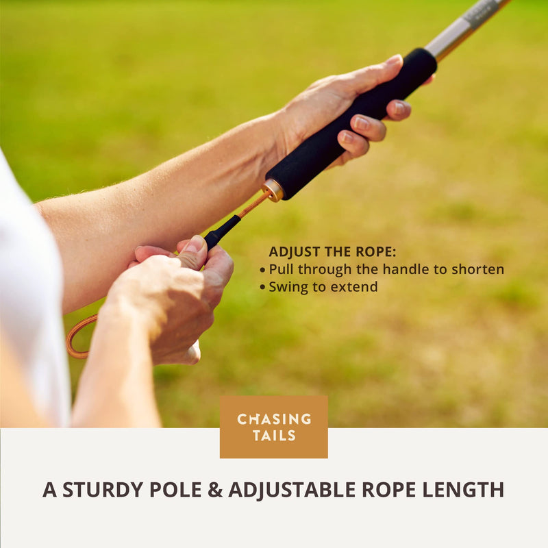 Chasing Tails Flirt Pole For Dogs Large Breed Heavy Duty - Dog Flirt Pole Teaser, Dog Exercise Equipment, Spring Pole for Dogs, Dog Training Toys Dog Flirt Pole for Large Dogs Chase Stick Catcher Pole - BeesActive Australia