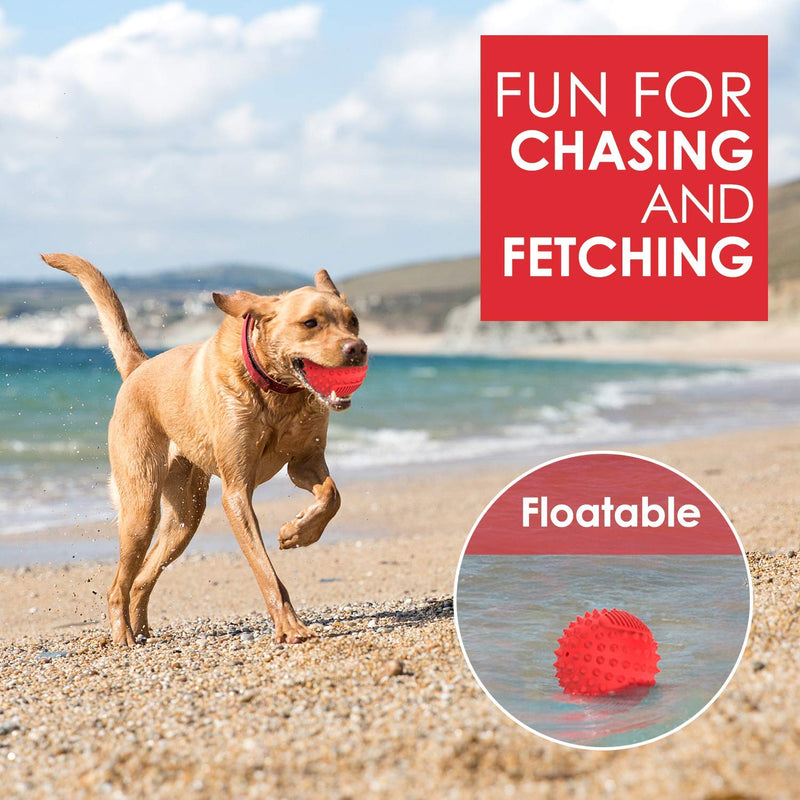 PETIZER Squeaky Dog Ball Toy for Aggressive Chewers ,4 Inches Indestructible Durable Big Dogs Chew Spiky Ball, Floatable Rubber Pet Toys for Medium &Large Breeds Red - BeesActive Australia