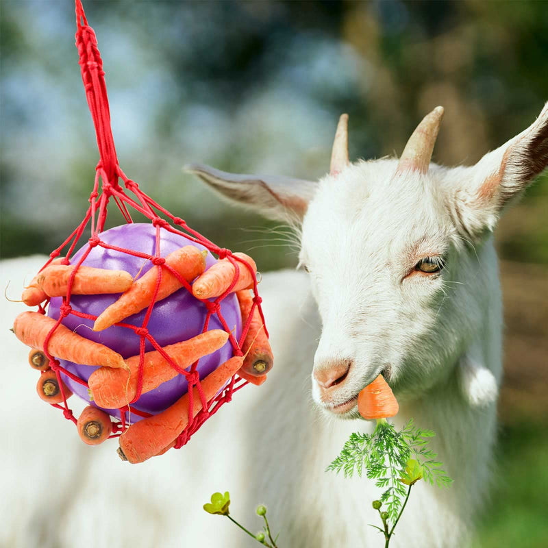 Horse Treat Ball Carrot Feeder Toy Hanging Feeding Toy Goat Feeder Ball for Horse Goat Sheep Relieve Stress, Horse Stable Stall Paddock Rest Purple - BeesActive Australia