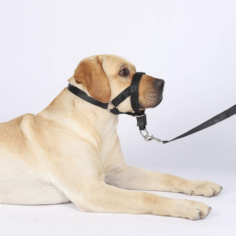 Dog Head Collar, No Pull Training Tool for Dogs on Walks, Includes Free Training Guide, Soft Padding, 5 XL Black - BeesActive Australia