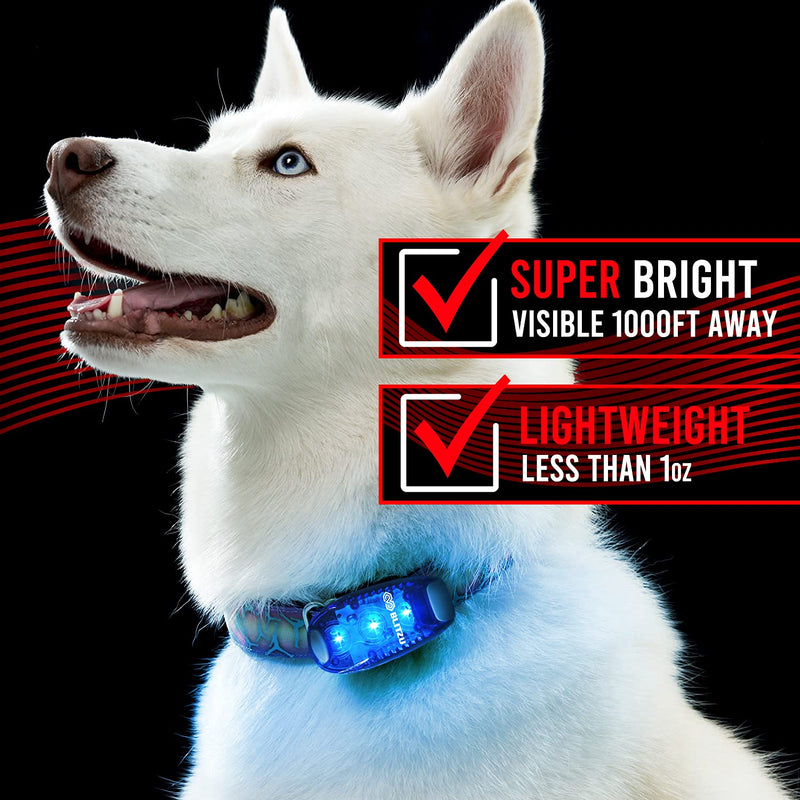 BLITZU 4 Pack LED Safety Lights Gear for Kids, Women & Men. Great for Bike Tail Light, Kayak, Dog Collar, Stroller, Walking, Boat, Runners, Night Running Blinking Warning Reflective Light Accessories Blue - BeesActive Australia