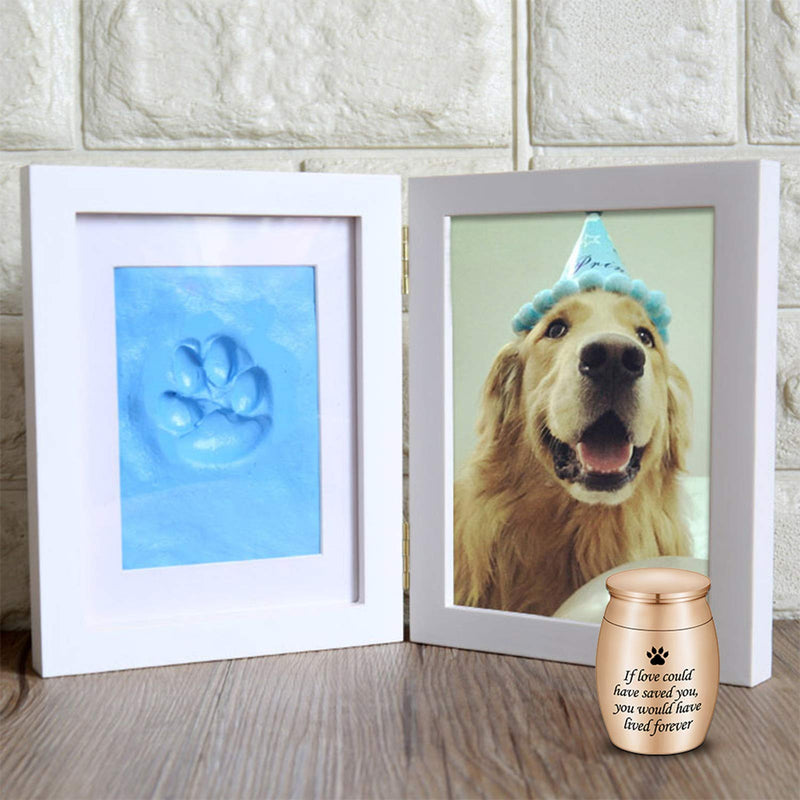 Dletay Small Urn for Pet Ashes 1.57 inch Mini Pet Urn Stainless Steel Ashes Keepsake Urns for Dogs Cats-If Love Could Have Saved You, You Would Have Lived Forever Rose Gold - BeesActive Australia