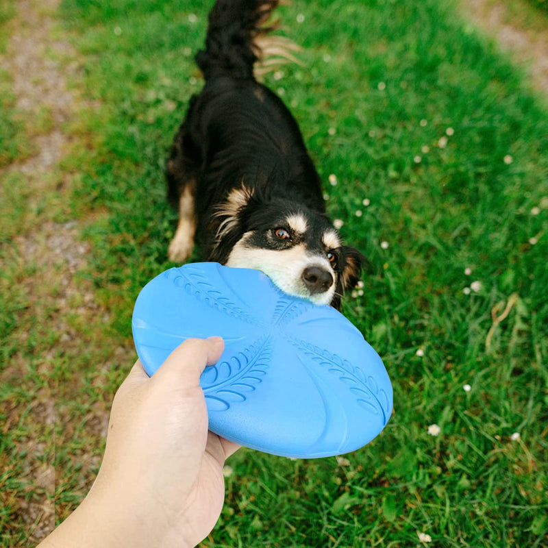 2 Pack Dog Flying Disc, Nobleza Flexible Floatable Dog Disc Toy for Long-Distance Flies and Floats, Lightweight Soft Flying Discs Toy for Small Medium Large Dogs to Fetch & Catch, Blue & Green - BeesActive Australia
