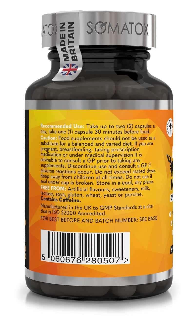 New Extreme Fat Burner Max – with G²CB™ Advanced T5 Thermo Supplement Diet Pills for Weight Loss & Metabolism | with B12, L-Carnitine, Green Tea & Guarana - 30 Day Supply/Vegan Capsules - Made UK - BeesActive Australia