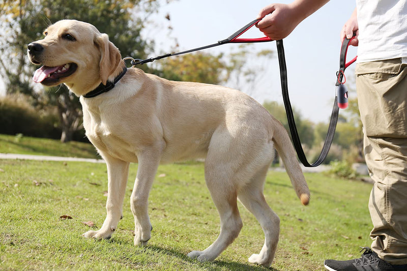 VIVAGLORY Dog Leash Traffic Padded Two Handles, Heavy Duty Reflective Leashes for Control Safety Training, Walking Lead for Small to Large Dogs 6 ft. x 1 in. (25~120 lbs.) Black - BeesActive Australia