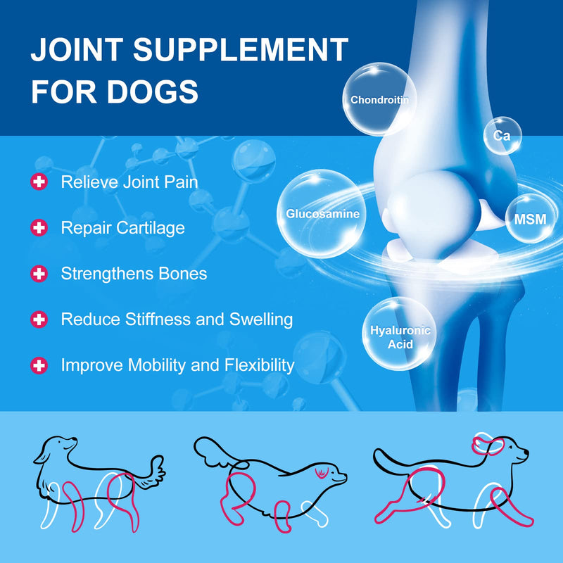 Dog Vitamins, Probiotics for Dogs Powder, Glucosamine & Chondroitin & MSM, with Prebiotics and Digestive Enzymes, Omega 3, Digestive & Gut Health, Joint & Immune & Heart Support, Dog Allergy Relief Chicken - BeesActive Australia