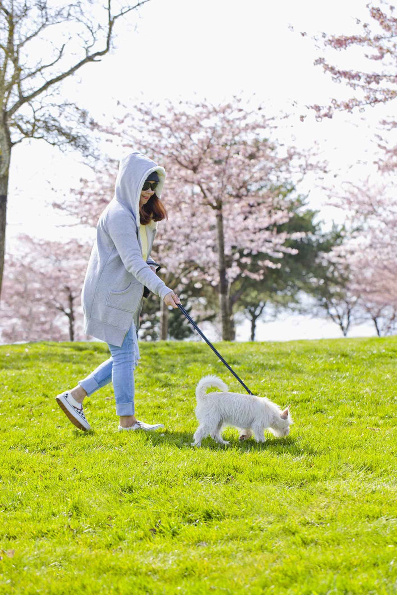SUNNQ Reflective Dog Leash 6ft - Nylon Dog Leashes for Small Dogs, Medium Dogs, Large Dogs, Puppy, Cats - 6ft Training Leash with D Ring 5/8 inch x 6FT PINK - BeesActive Australia