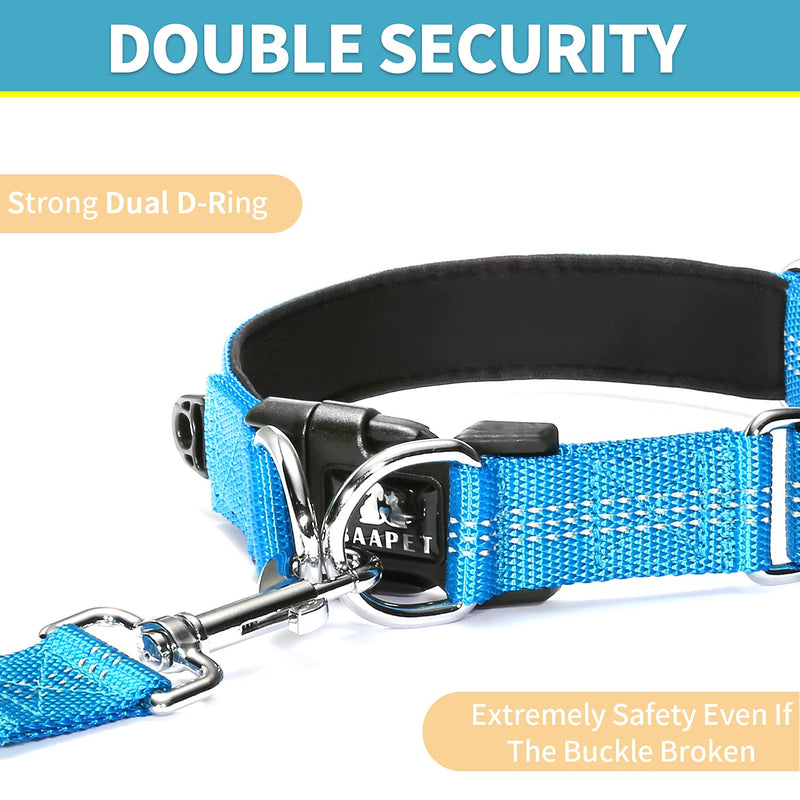 BAAPET Comfortable Dog Collar with Double Security Dual D-Ring and ID Tag Hanger for Small Puppy, Medium and Large Dogs M - 1.0" x (14"-20") Blue - BeesActive Australia
