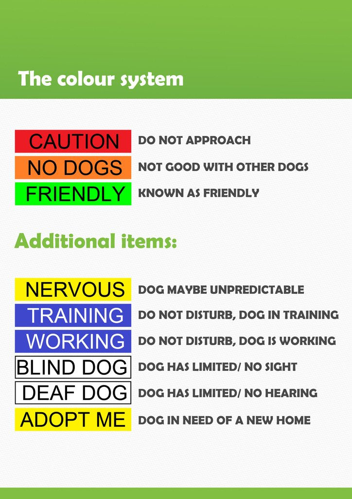 Dexil Limited Adopt ME Yellow Color Coded 2 4 6 Foot Padded Handle Dog Leash (New Home Needed) Donate to Your Local Charity 4 Foot Leash - BeesActive Australia