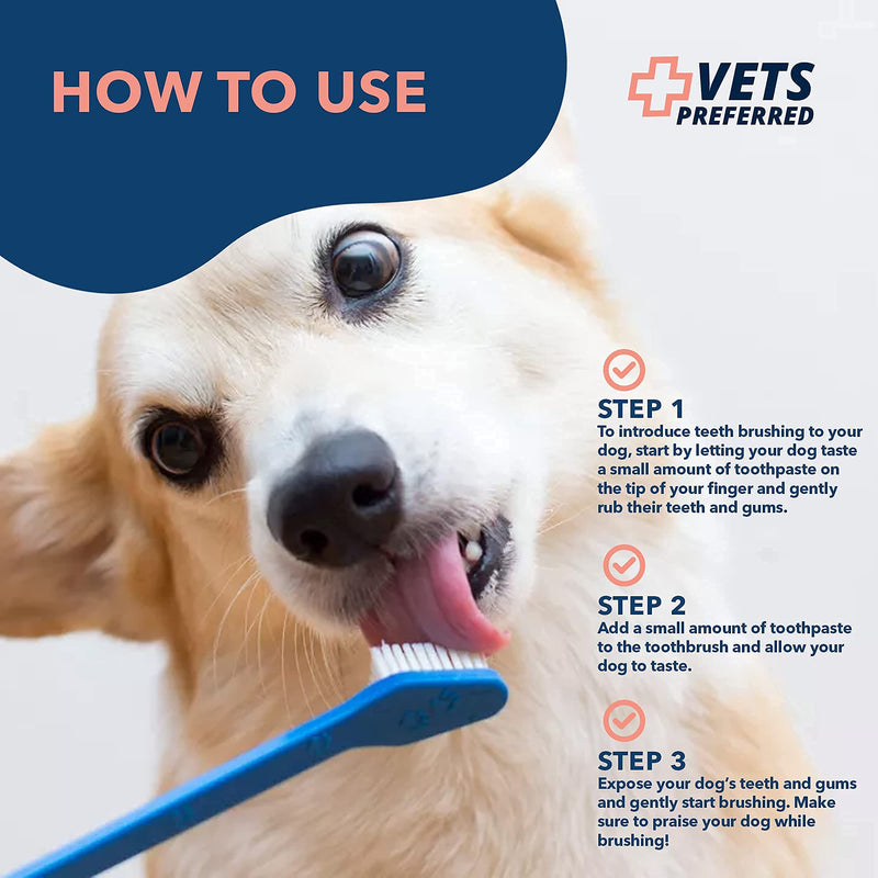 Vets Preferred Dog Toothpaste & Freshener, Advanced Enzymatic Toothpaste & Oral Care Water Additive for Dogs - BeesActive Australia